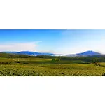 La Casa Alta En La Ruta Del Camino De Santiago A Guarda