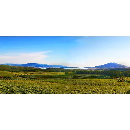 La Casa Alta En La Ruta Del Camino De Santiago A Guarda