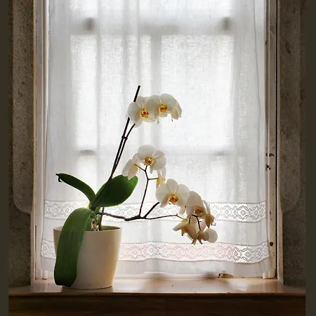 Сasa de vacaciones La Casa Alta En La Ruta Del Camino De Santiago *